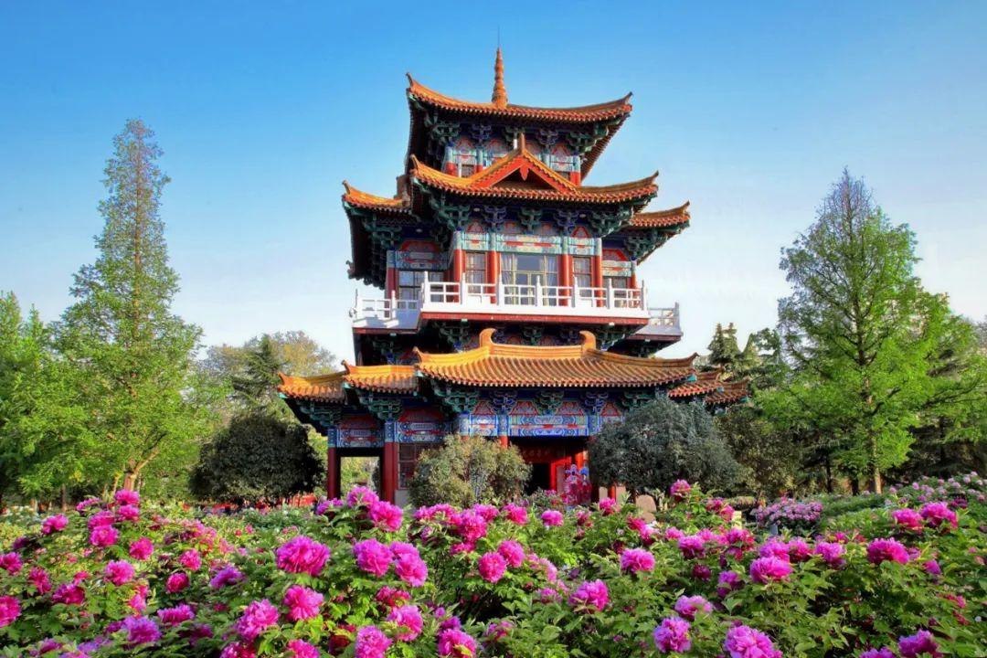 洛阳GDP突破六千亿！

洛阳2025年全市地区生产总值6164.5亿元，同比增