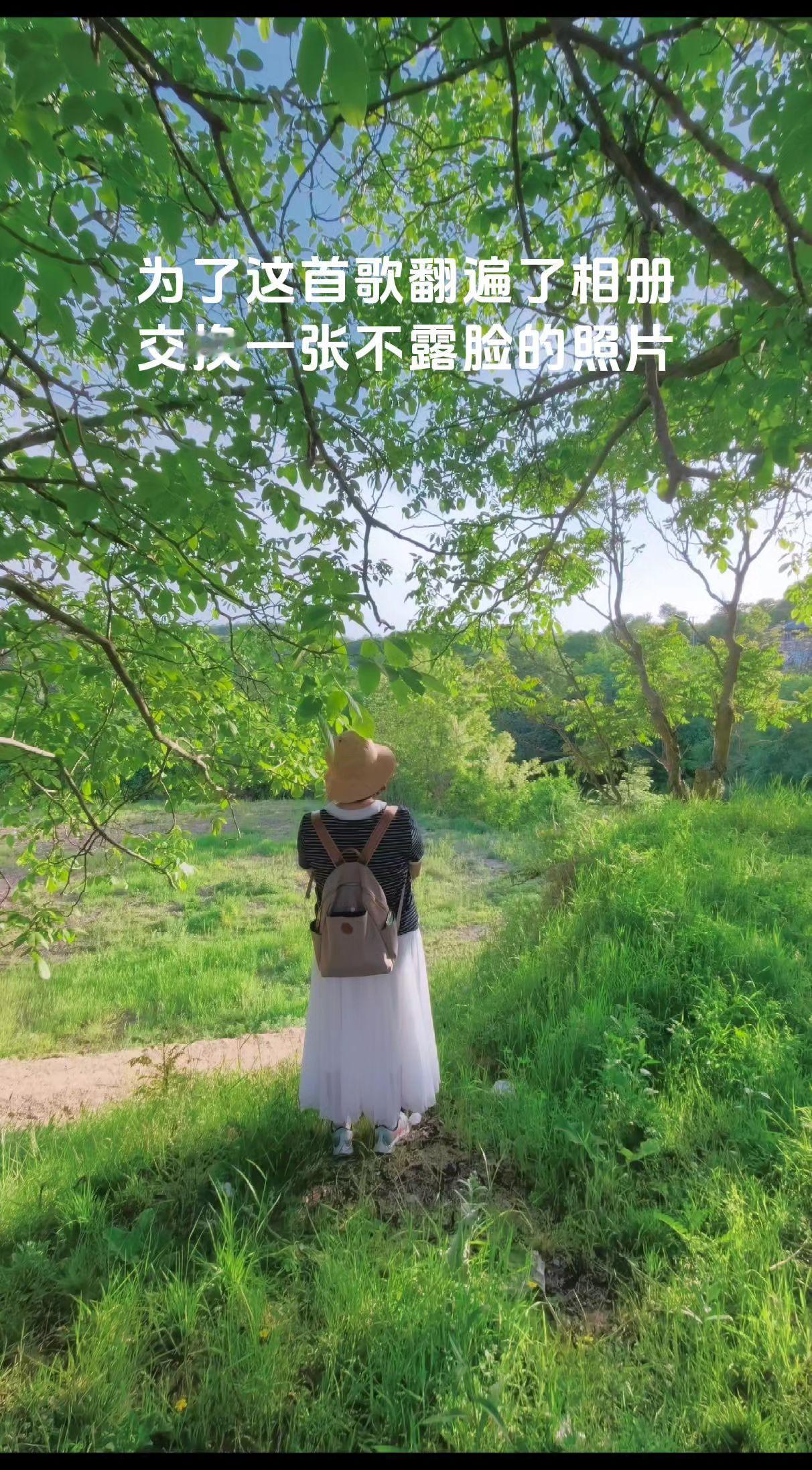 为了这首歌翻遍相册。被大自然治愈的一天 抓拍瞬间记录美好