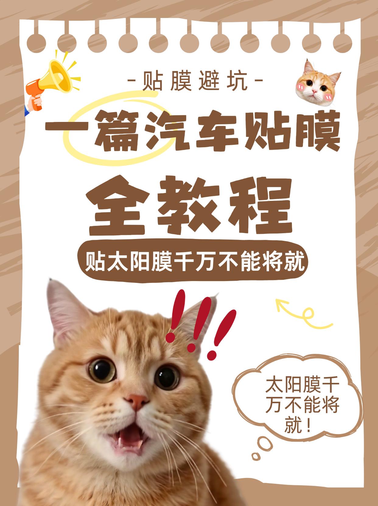 这组 “猫咪版汽车贴膜避坑教程” 也太懂车主痛点了！看完直接告别贴膜大冤种👇 