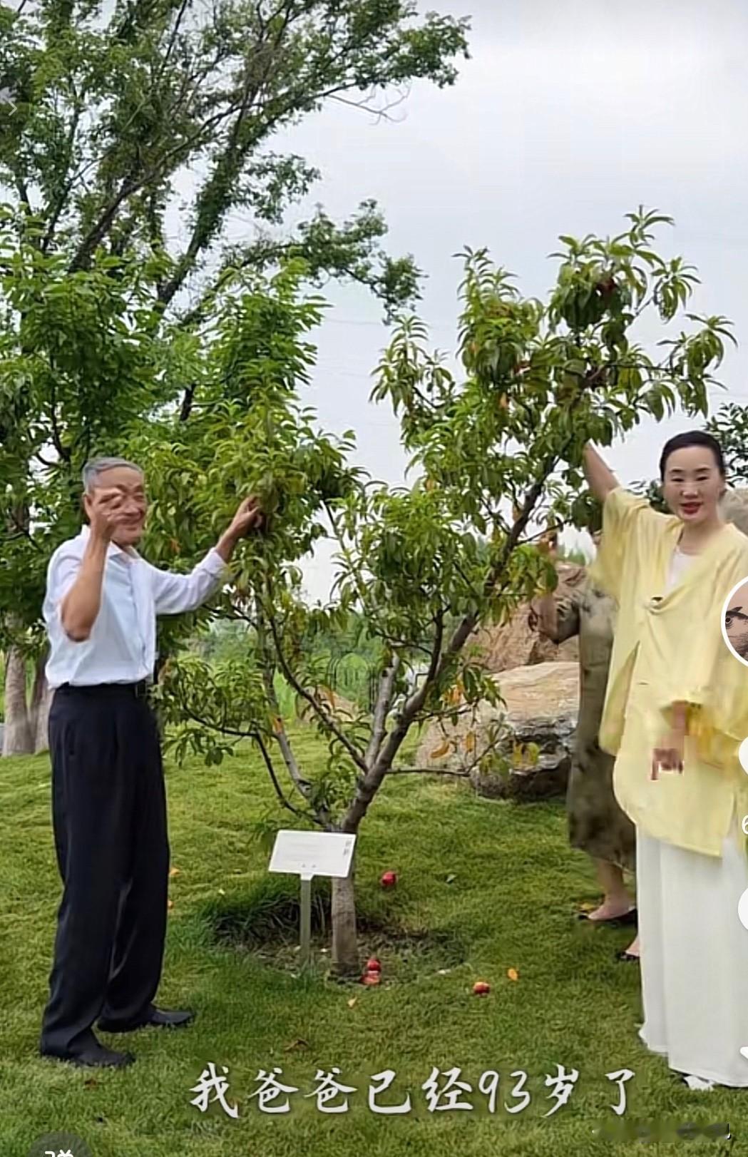 难怪林依轮西华一家如此幸福！

西华的父母为女儿一家树立了榜样。

西华更新视频