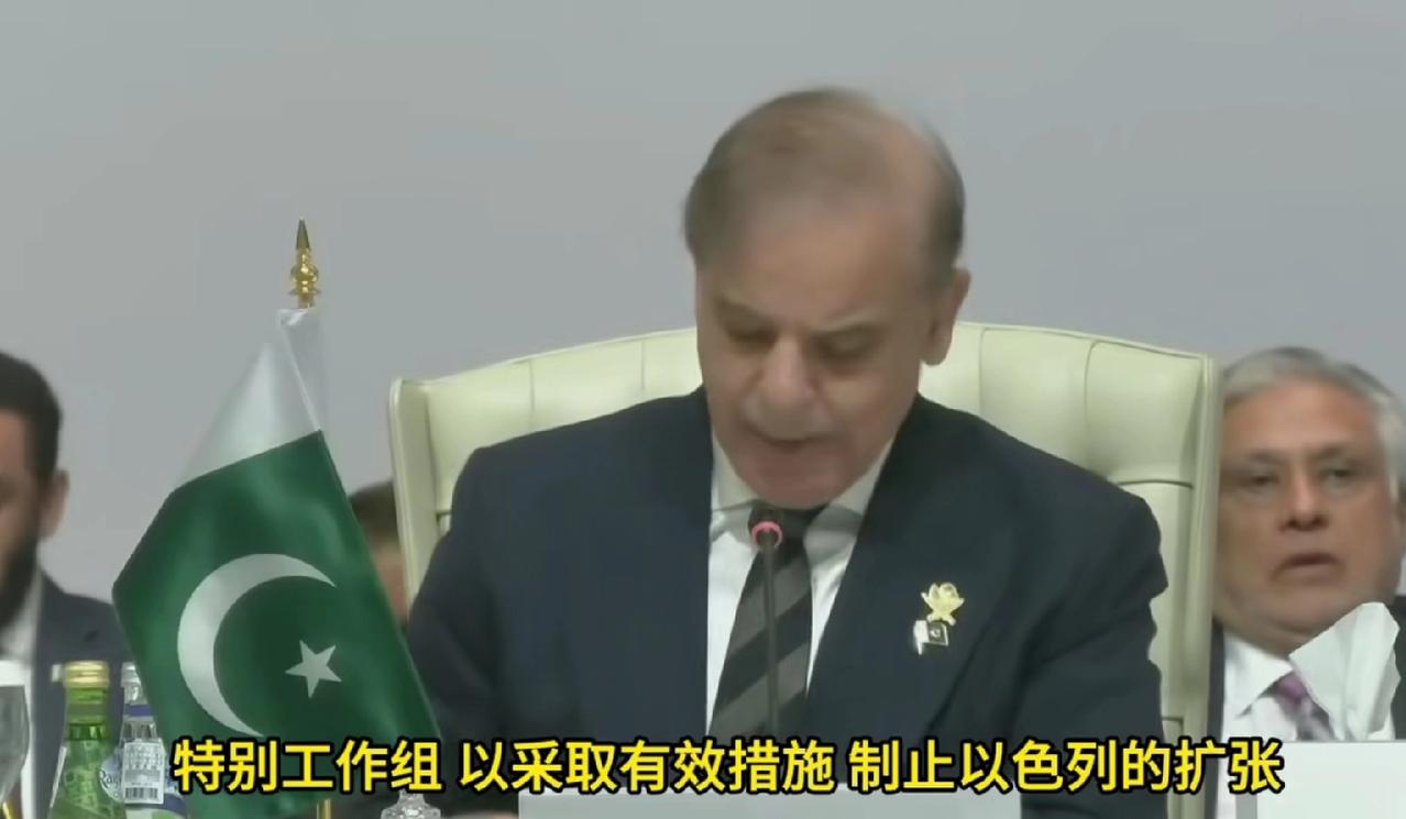 巴基斯坦总理在卡塔尔峰会上的发言很震撼！整理了一下主要有这样一些内容，其中创建一