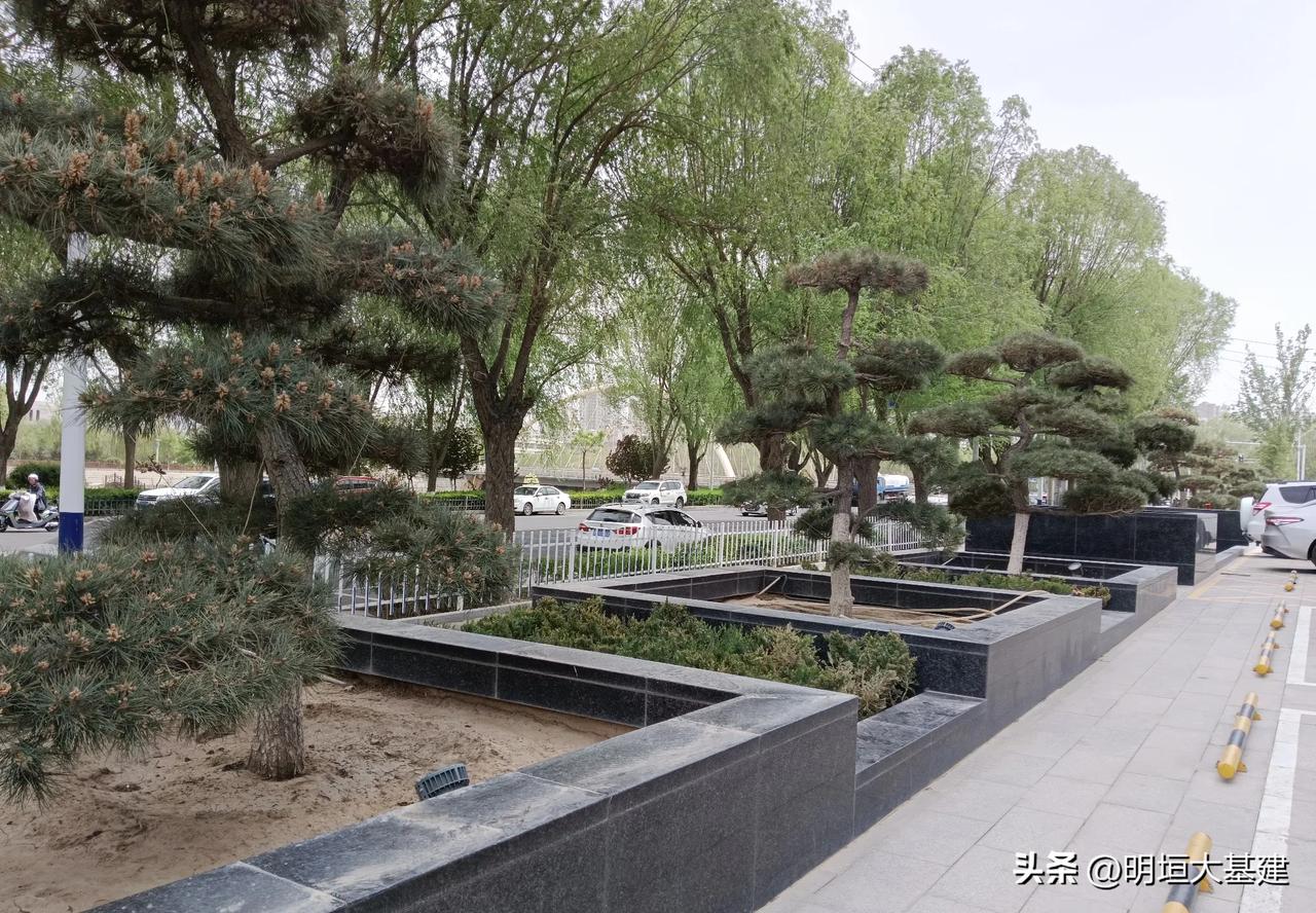 【晨光絮语】

夏日的晨光里，我熟悉地骑行在这条连接单位与小区的绿荫道上。那些被