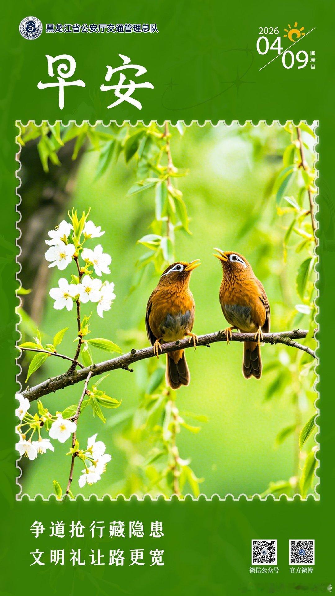 早安 争道抢行藏隐患，文明礼让路更宽。早安早安心语早安高小黑早安龙江 （