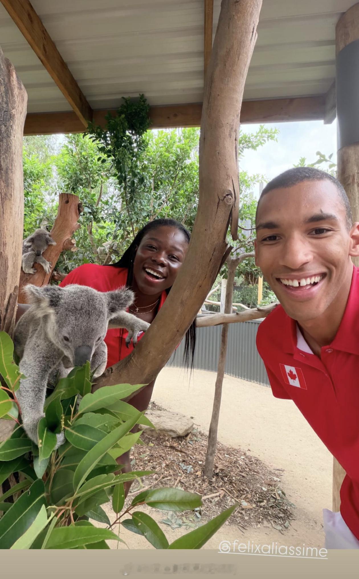 2026联合杯 加拿大🇨🇦队网球