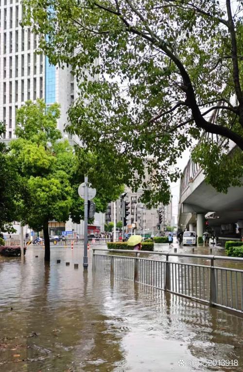 目前武汉已经提前完成了东湖、南湖、汤逊湖等重点湖泊港渠的水位预降，相关防汛部门也