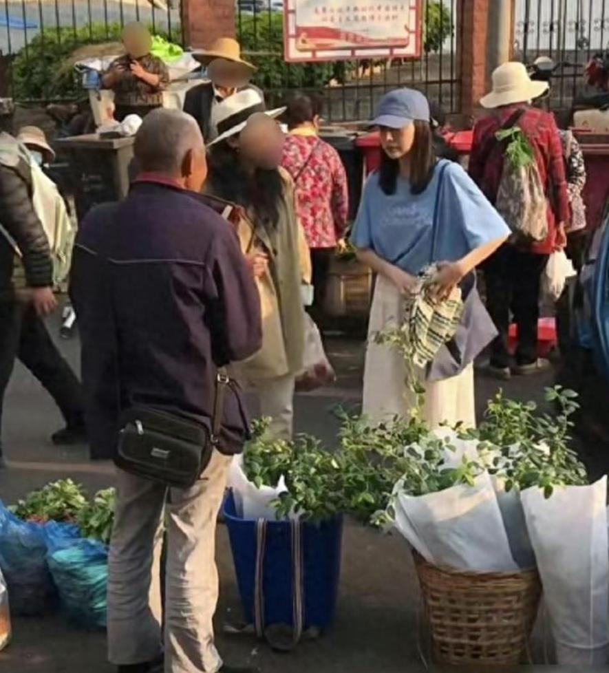 谁能想到，当年瘦到不到 80 斤、满脸写着 "我好累" 的董洁，如今竟然主动胖了