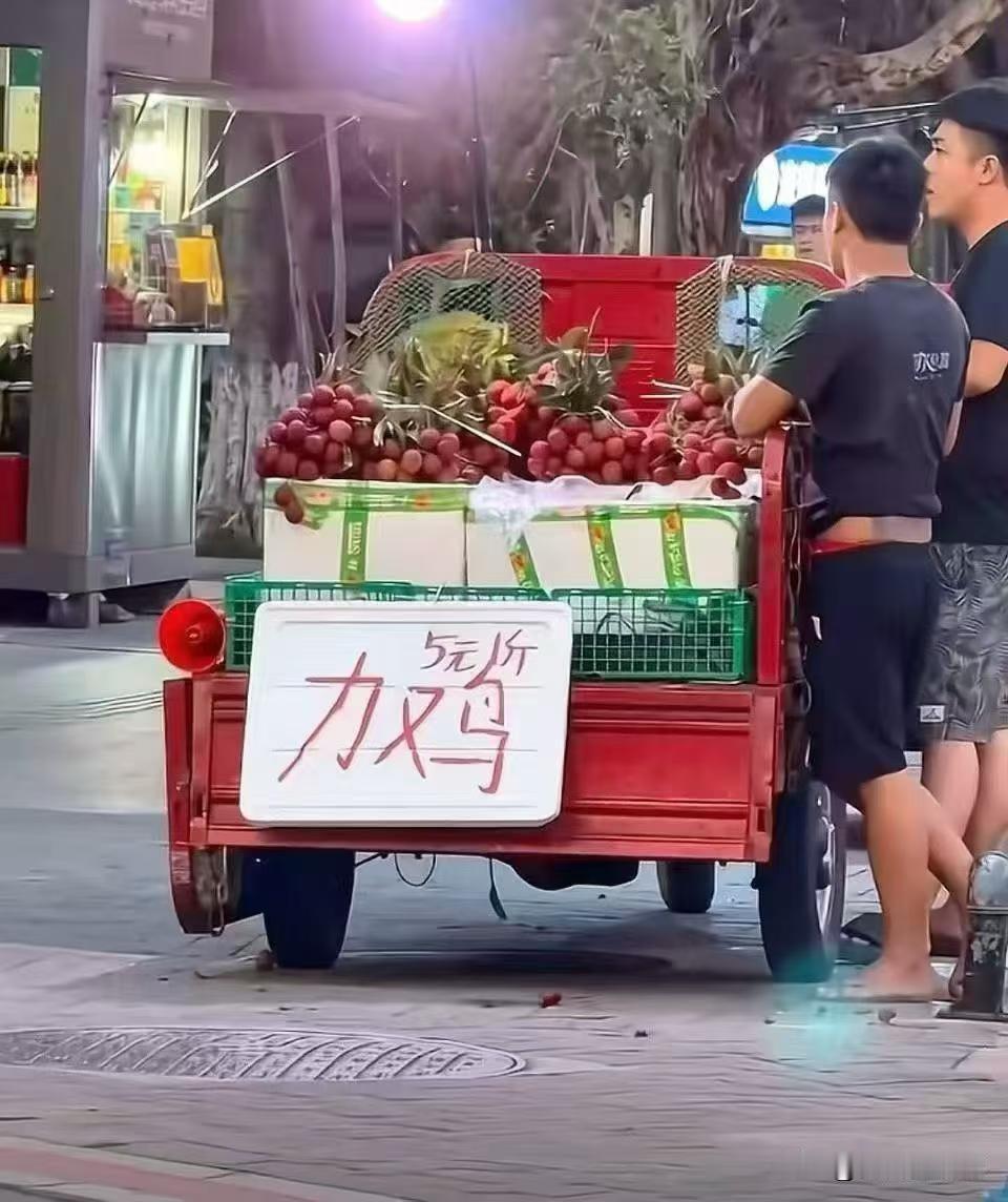 5元一斤的力鸡，新鲜美味等你来尝！