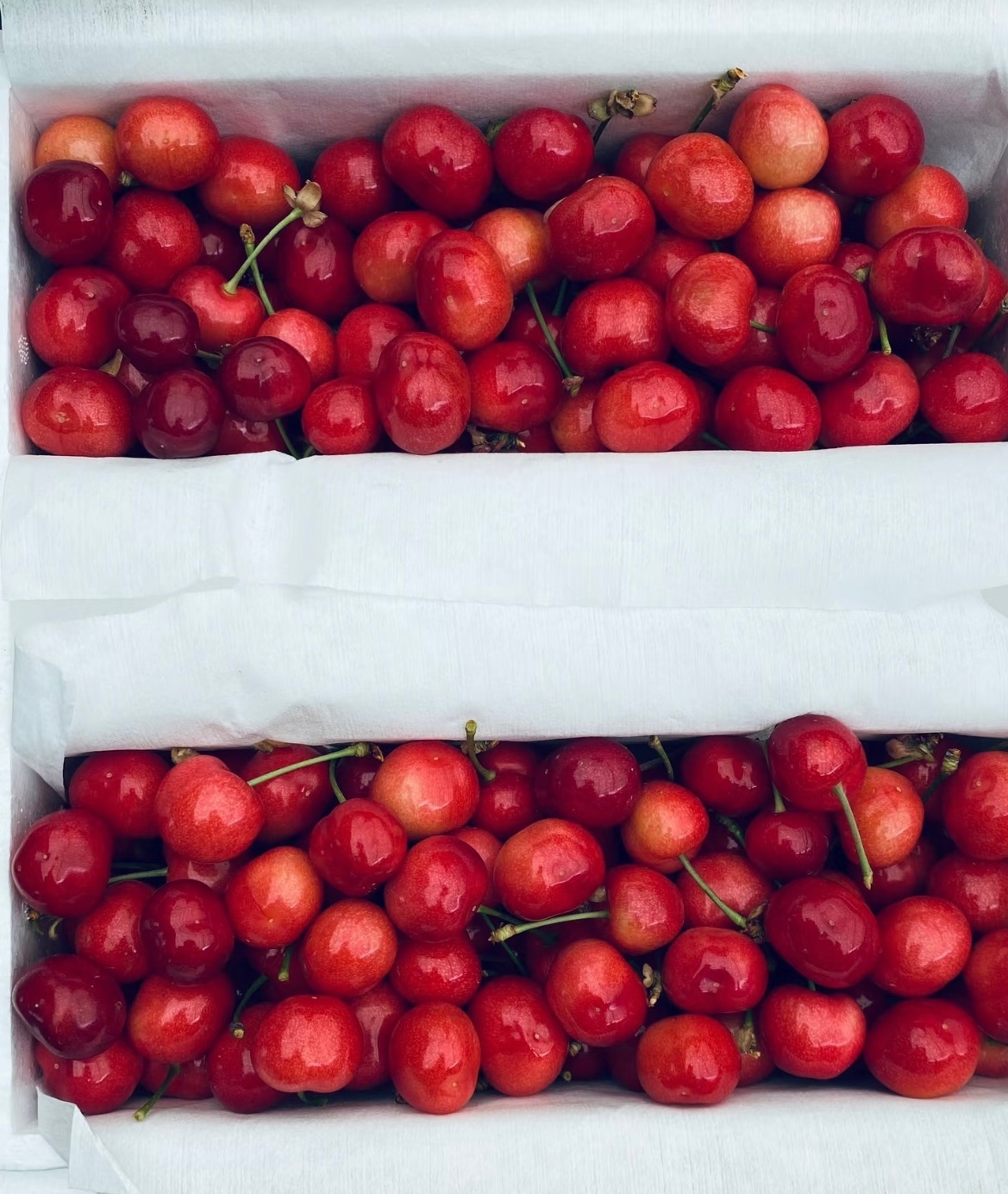 爱吃车厘子的人天塌了 今年车厘子价格确实没有往年高，感觉这两年车厘子也没什么特别