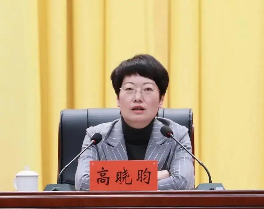 高晓昀凑巧是贵州省2026年查处的第10名女厅官。
      现年53岁的高晓