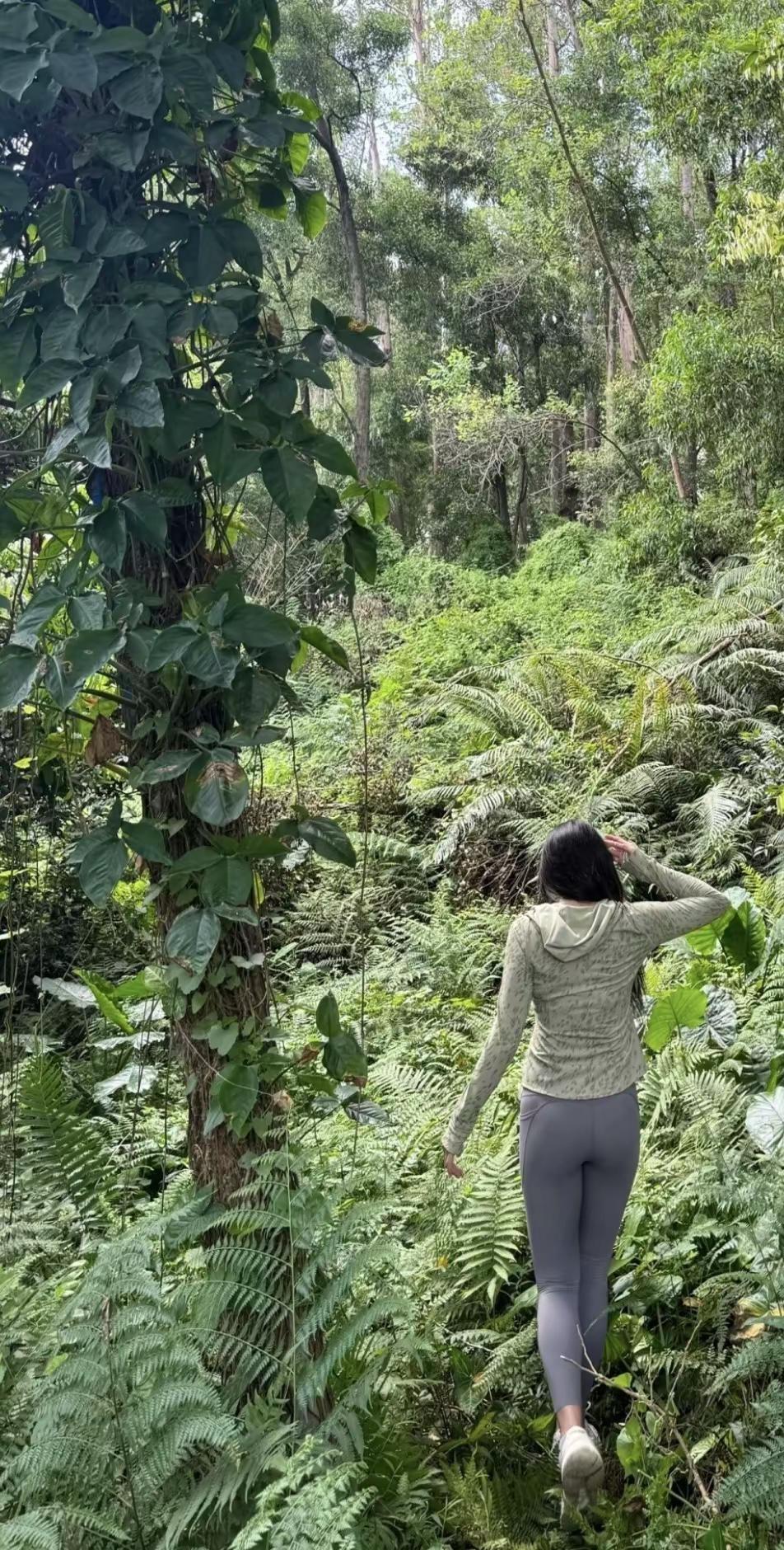 户外徒步 徒步登山 风景秀丽自然美景 爬山⛰️ 爬山推荐