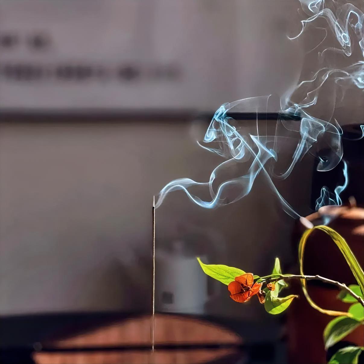 行至半生渐渐懂得，人生不必行色匆匆。很多纠结、迷茫、求而不得，从来都追不来、急不