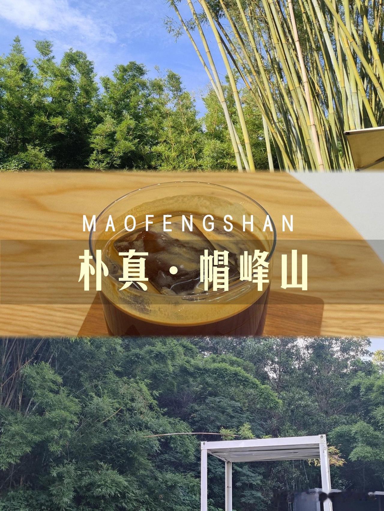 🌿帽峰山一日游｜私藏城市绿肺攻略

在钢筋水泥里挖到一片会呼吸的绿野！避开人潮