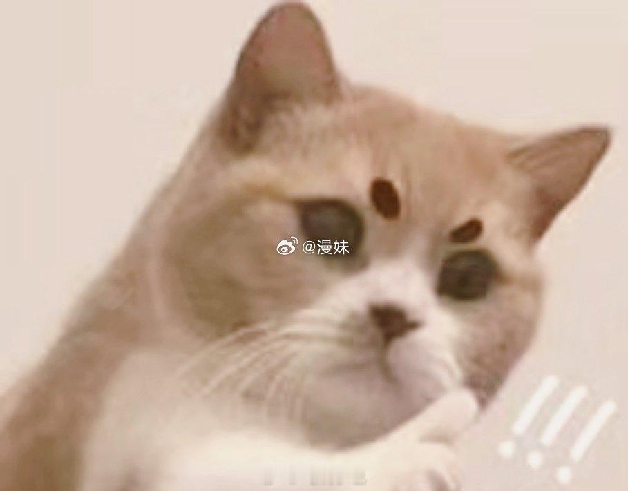 学术研究是否存在性别歧视 提问羞耻困住多少年轻人 理想的学术空间应当包容所有疑问