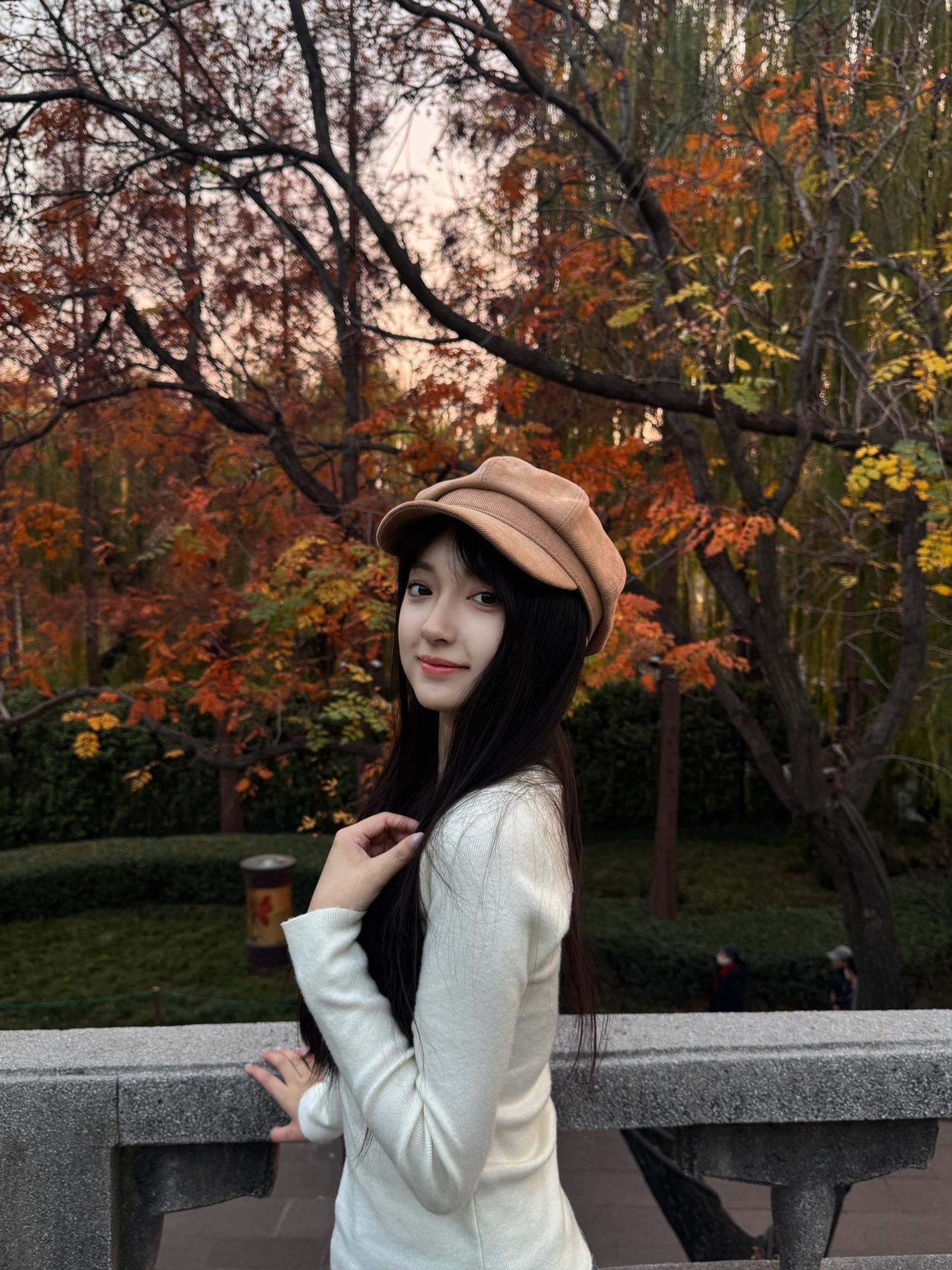 🍁