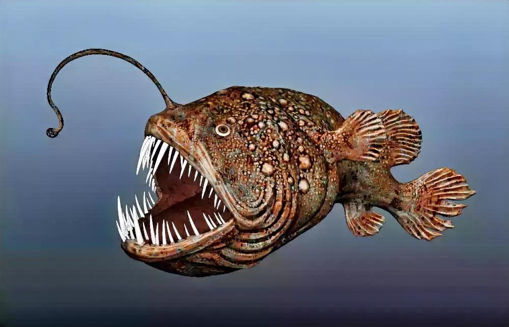 日本的阴谋诡计败露！
万分震惊！请迅速转发到亲友群、同学群，这些年兴起的不让说“