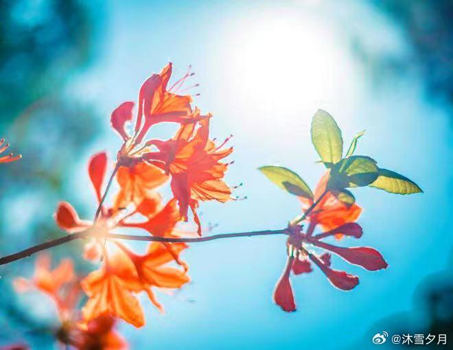 我和前夫离婚22年了。现在，我也重新有了一个很爱自己的老公和衣食无忧的生活。前夫