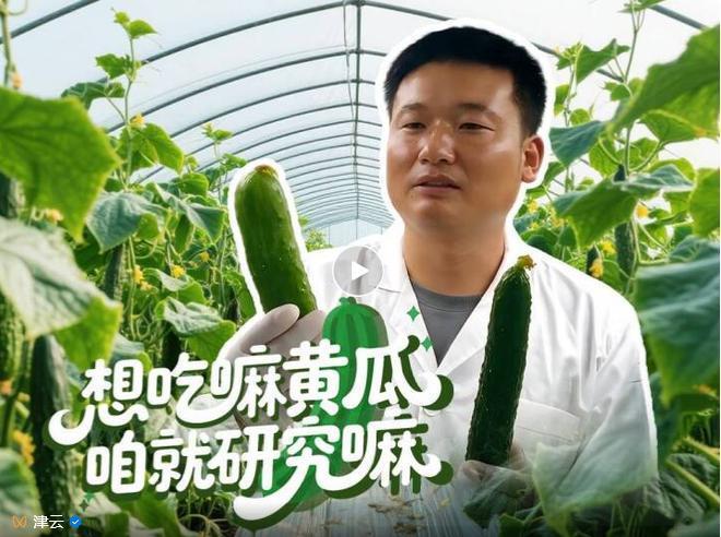 一根黄瓜能有多“复杂”？天津的科学家硬是把它研究到了基因层面！就在近日，天津市农