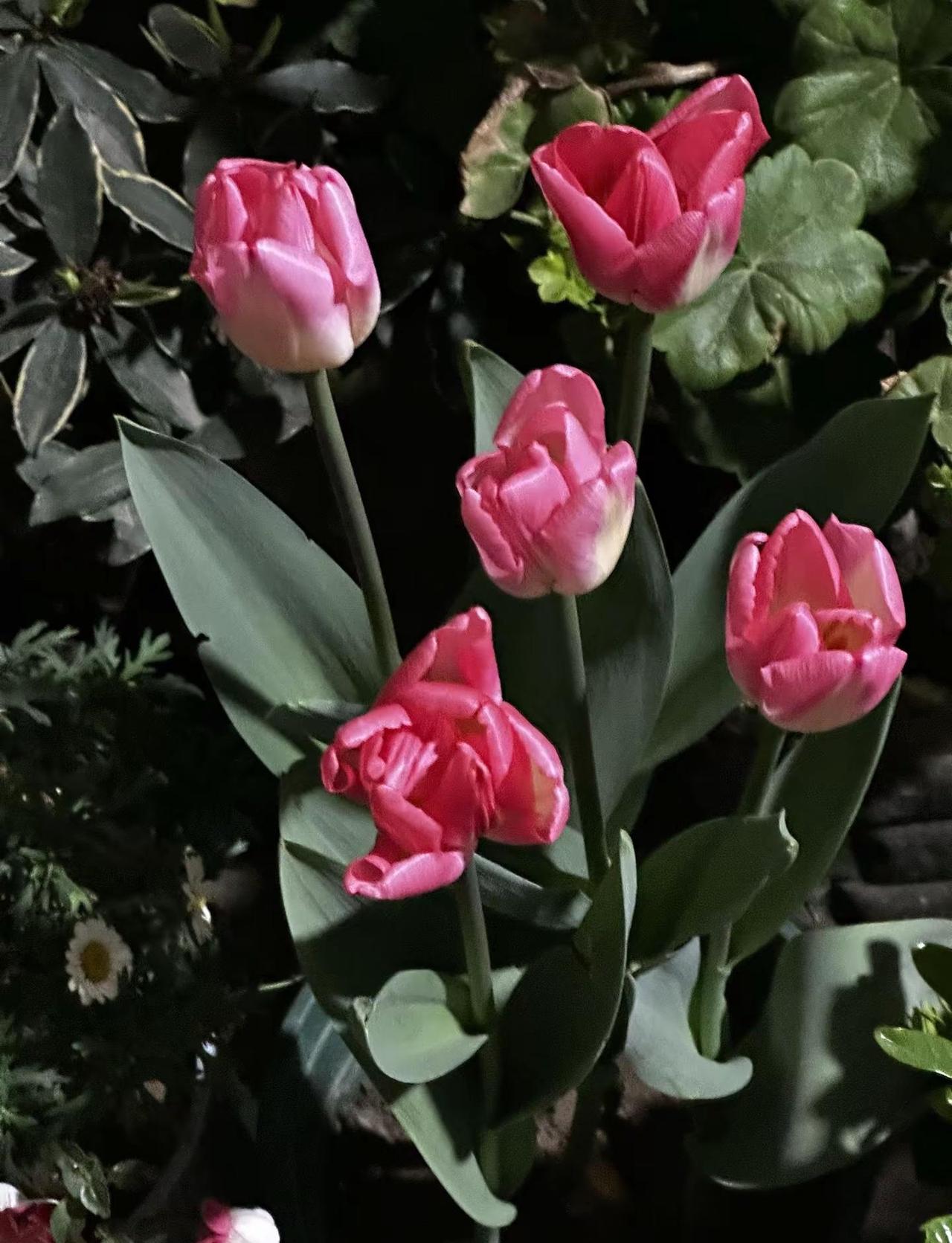 新泰 加油站 婚内出轨 婚内出轨婚内不忠