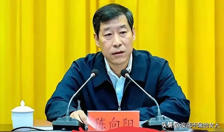 …翻看了一下陈向阳的学历与工作履历，可以说是本土成长，专业背景鲜明，履历丰富！