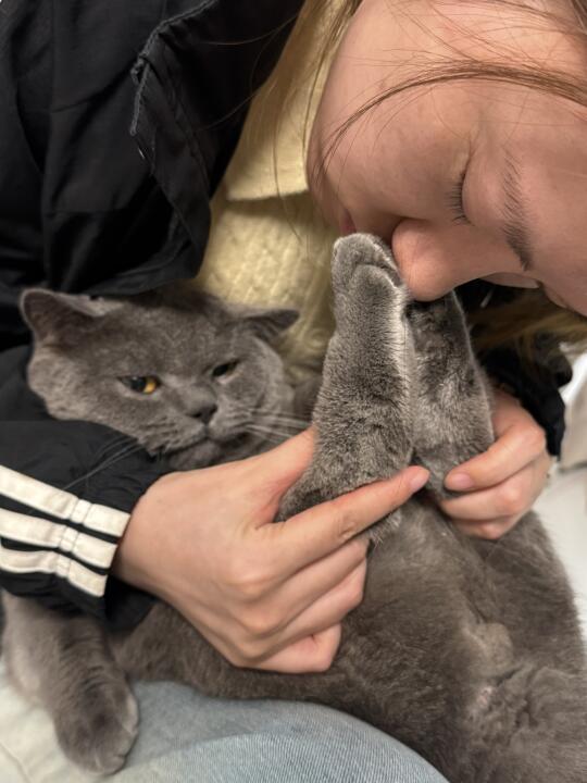 🐱：请帮我拨打喵喵零！！