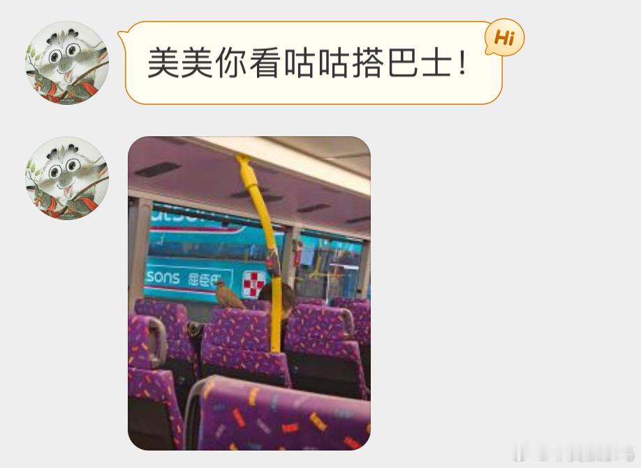？？？坐巴士🚌的珠颈斑鸠 ​​​