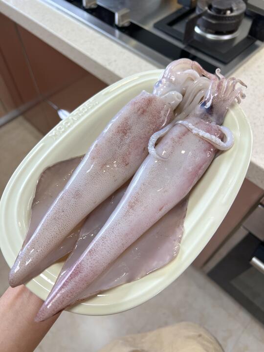 简单到怀疑自己是大厨——葱油鱿鱼