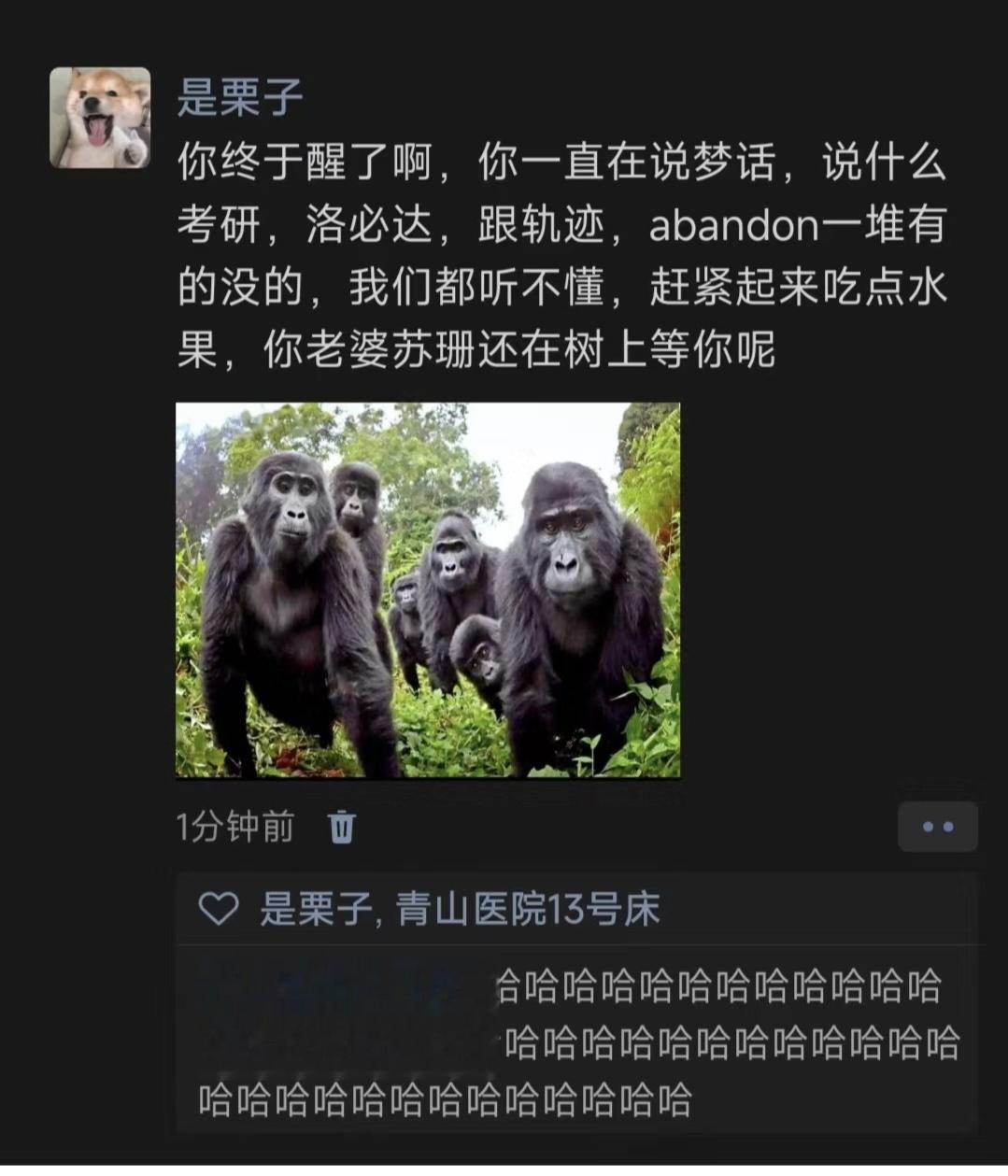 你终于醒了你在说梦话 ​​​