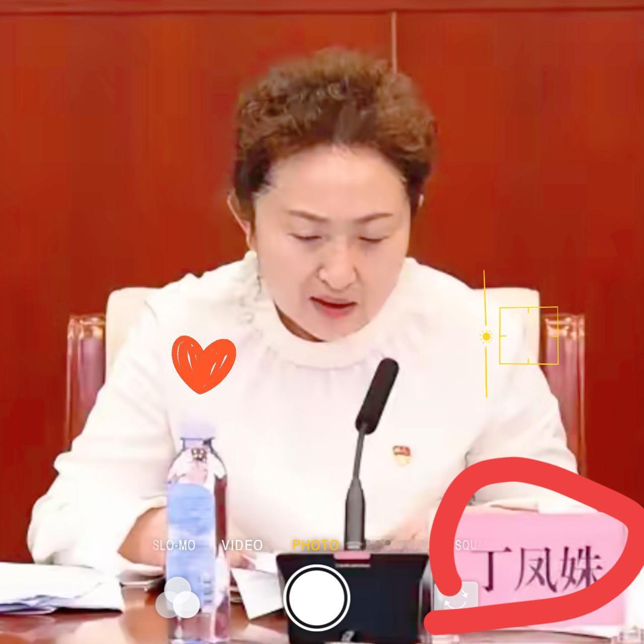 北方小年前夕的一条大鱼出水，这次是在哈尔滨，医疗领域的权威专家。
丁凤姝气质出众