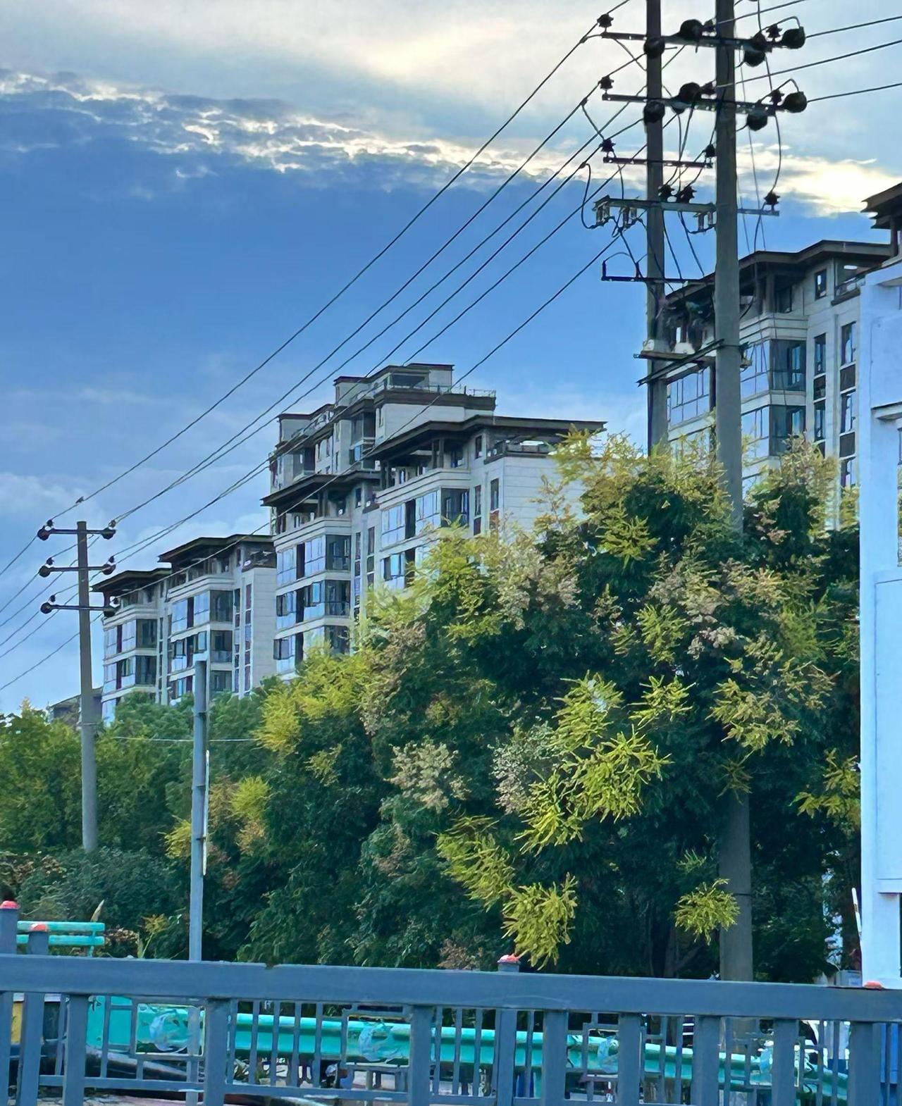 如果善良得不到尊重，那就让它长刺！

对门的阿婆又在敲门，边敲边喊我：娃，在