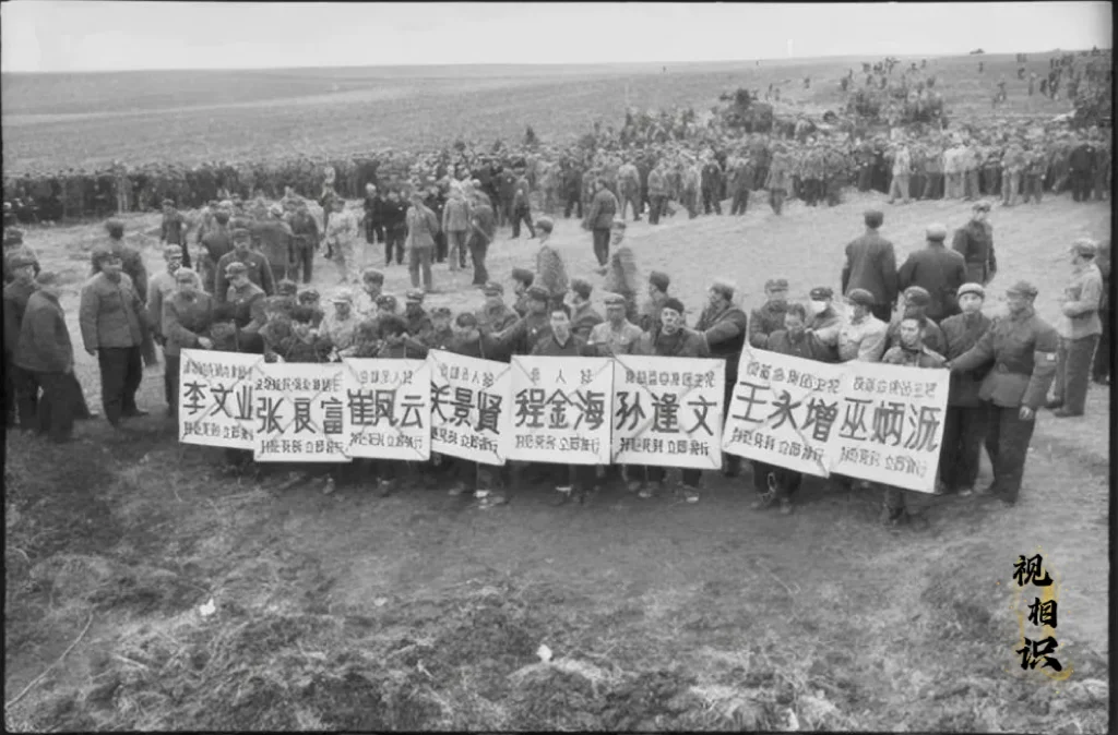 60年代，哈尔滨郊外，八名犯人被统一行刑时的场景，画面中他们被五花大绑，脖子上挂...