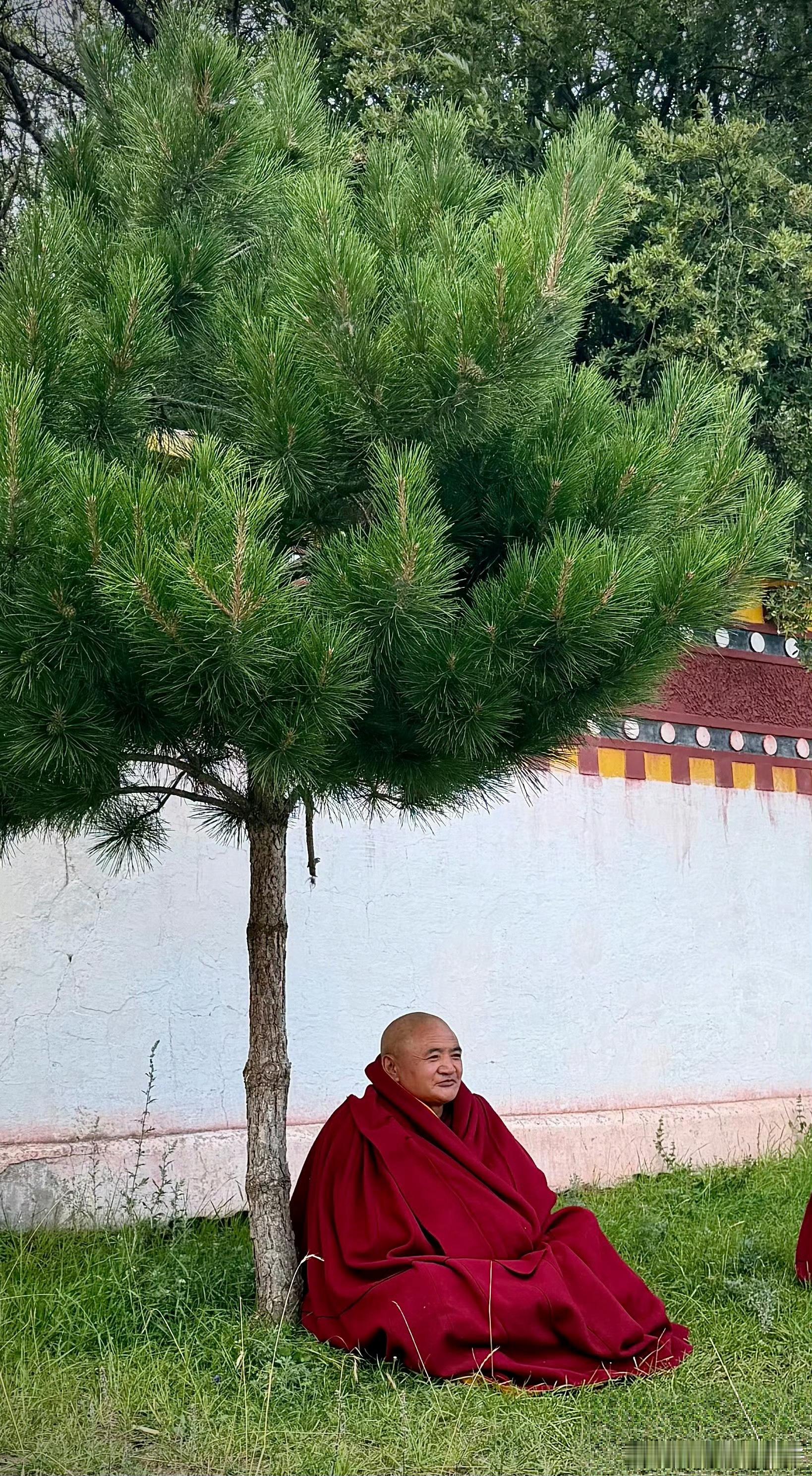 世人说起觉悟，总以为那是深山禅院里僧人的专利，要远离烟火，隔绝人事，才能够谈修行