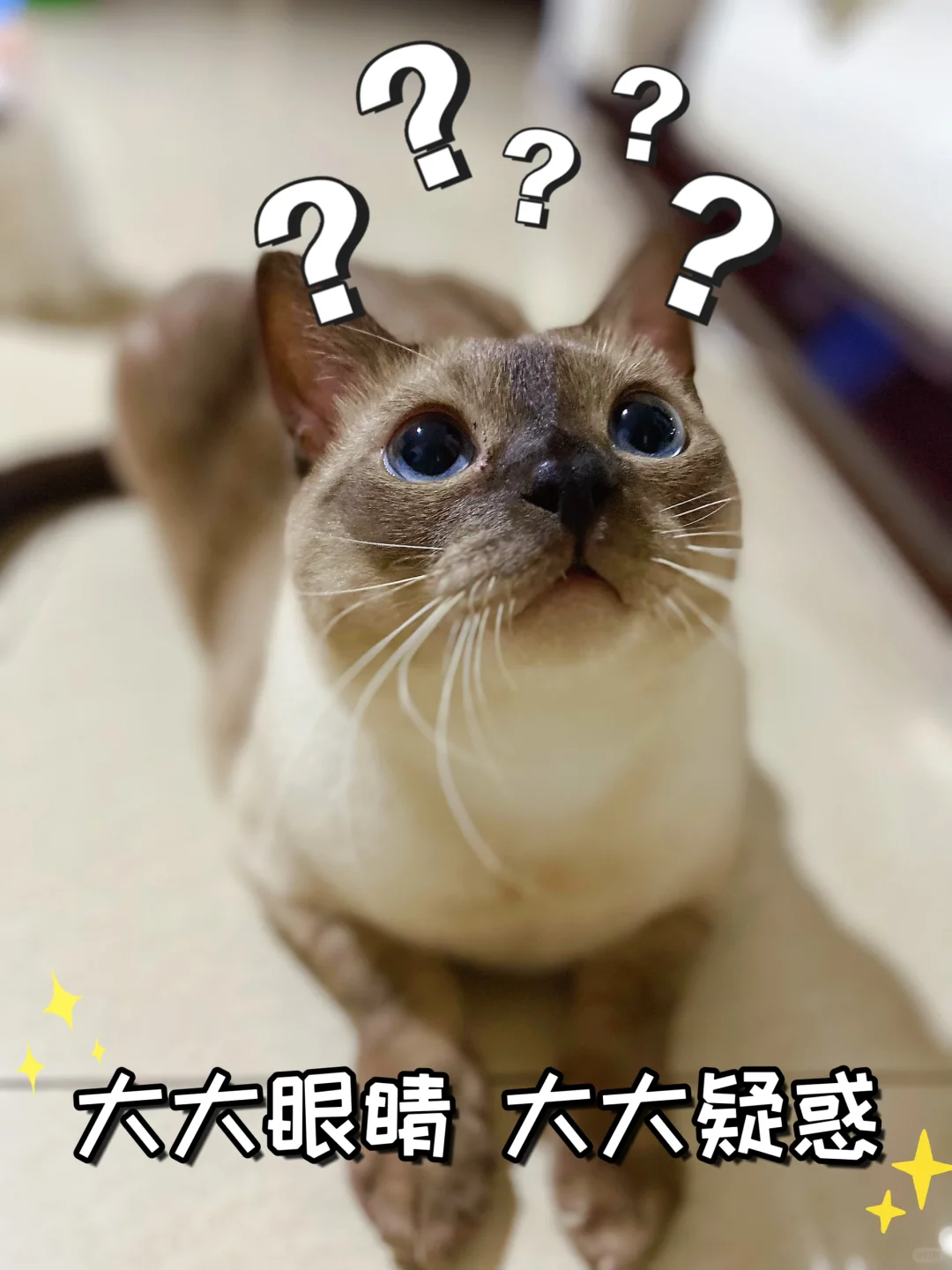 是谁站得如此标致？