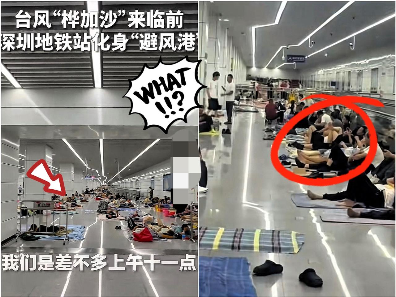 深圳彻底出名了！

本以为台风天只剩狼狈，
没想到地铁站成了最安心的“避风港”…