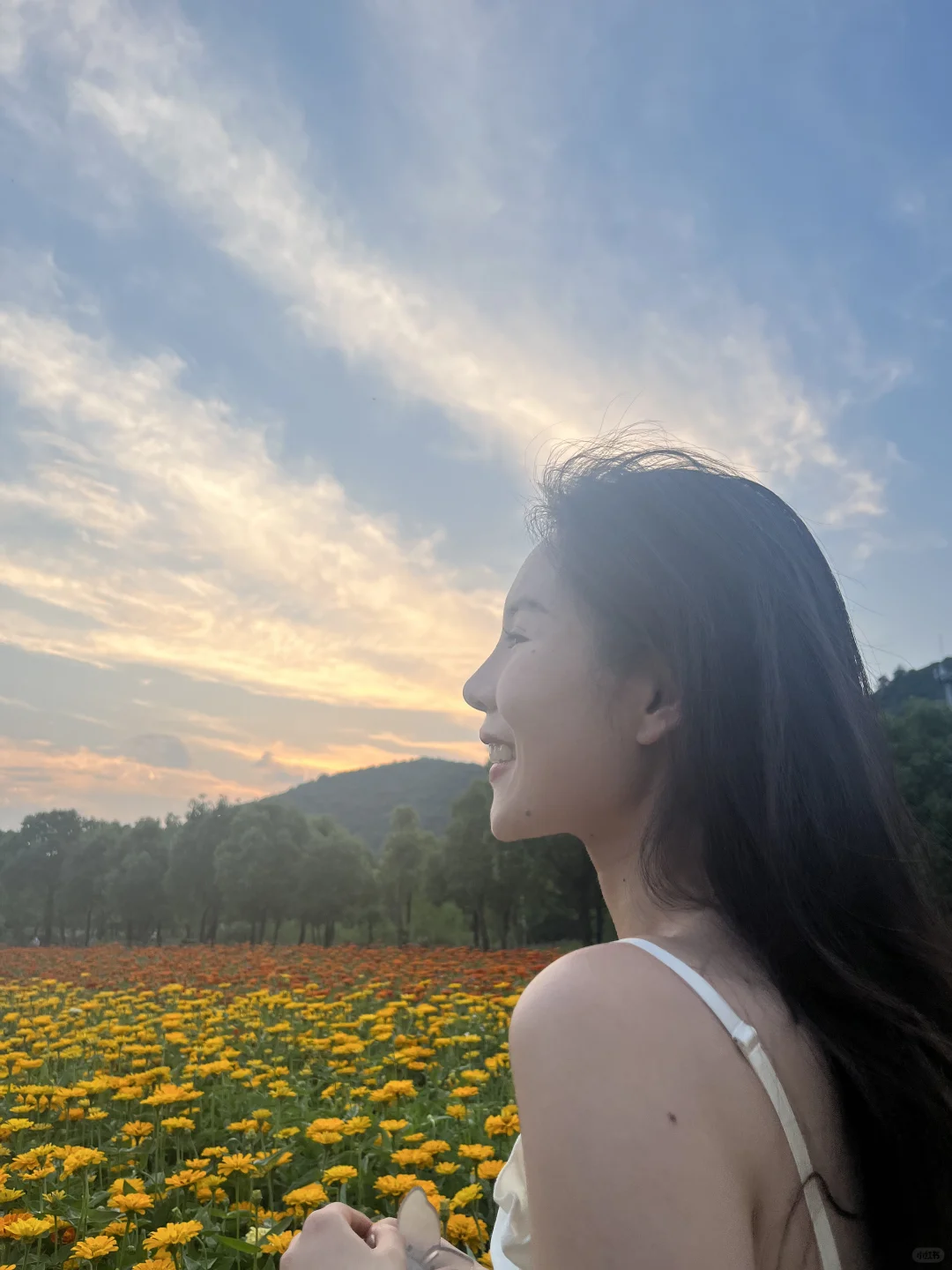 花海落日与你❤️
