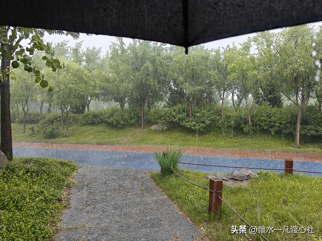 淹死会水得，淋湿打伞的。现实中越有恃无恐，越会被反噬。
上午，看大雨初歇，细雨蒙