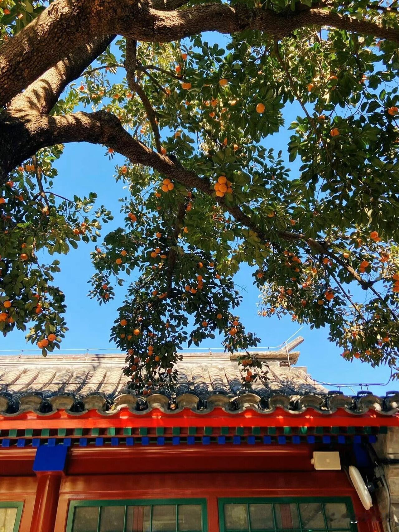 教师工资该不该与职称挂钩?
教师工资最不该与职称挂钩，
不光是教师工资，
各行各