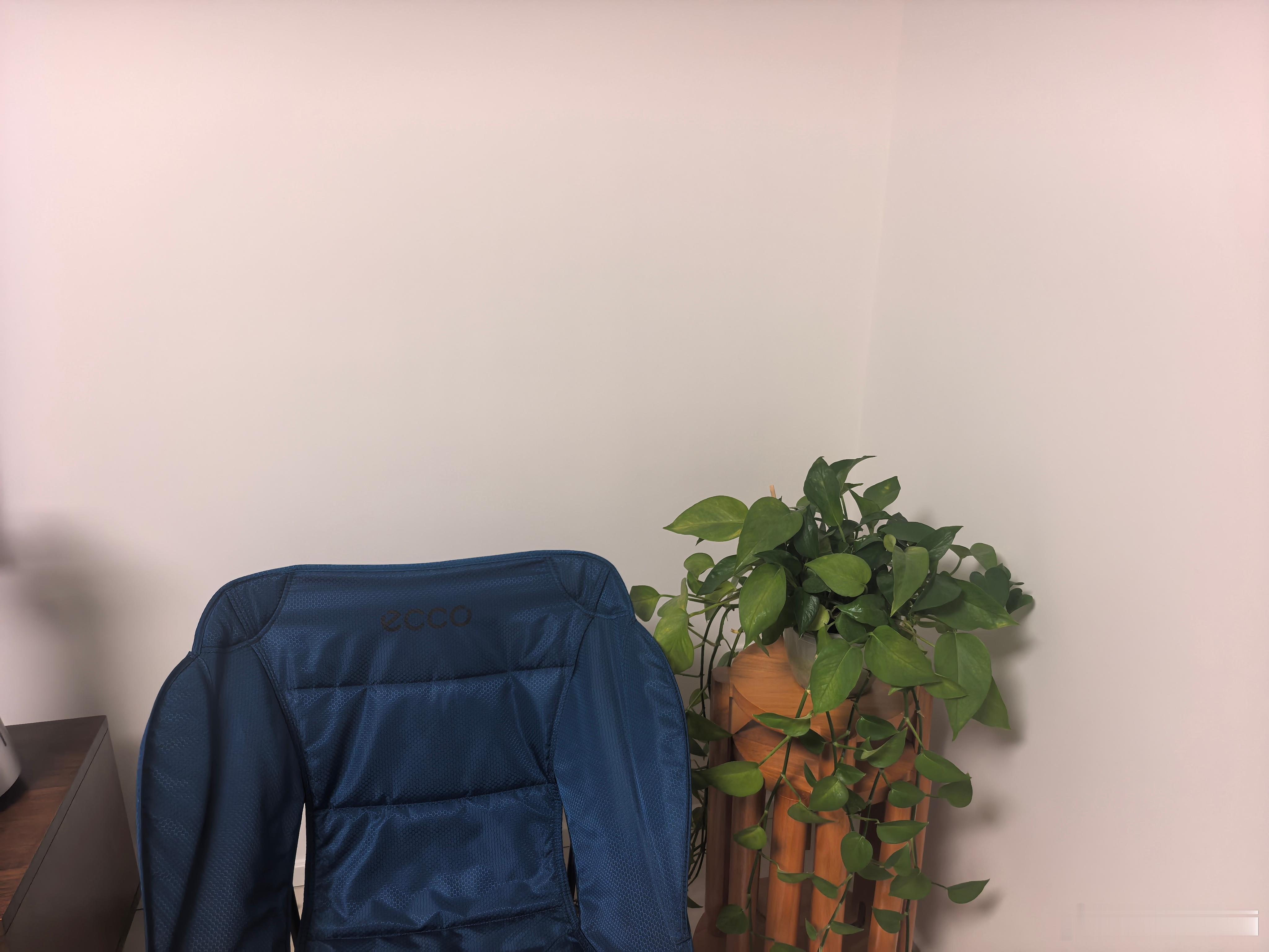 要录一段视频，参考模板有个绿植，于是找到了这个角落。我宣布！我家这个旮旯以后是第