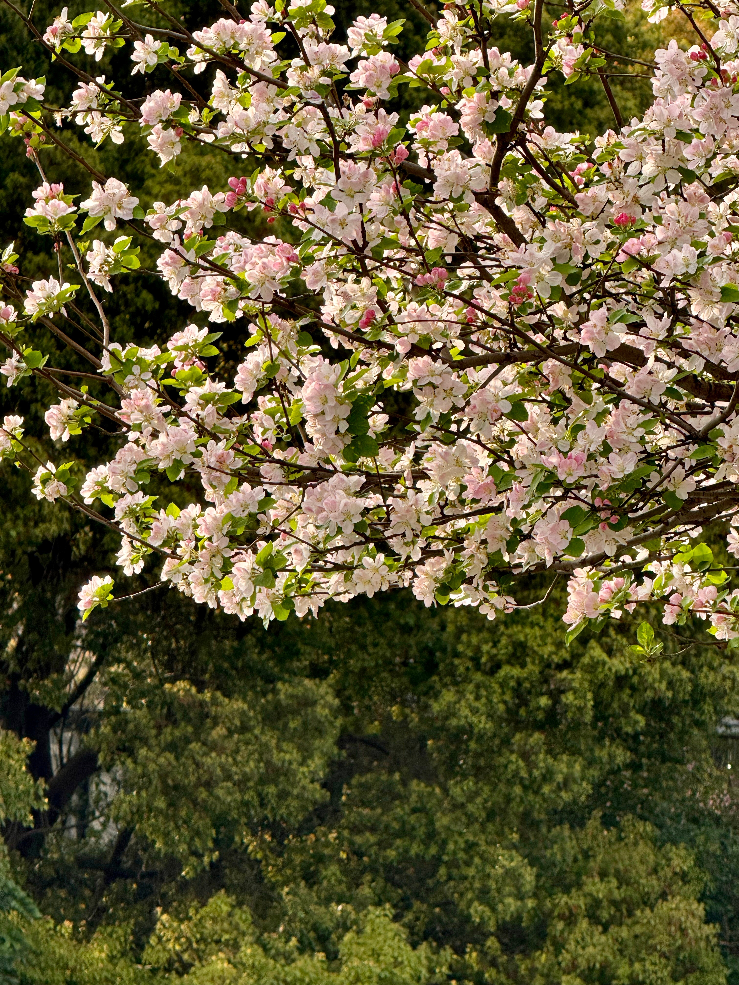 聊个我咨询里最头疼的状态哈就是来访婚后很多年，基本独揽家务，问就是之前想让老公干