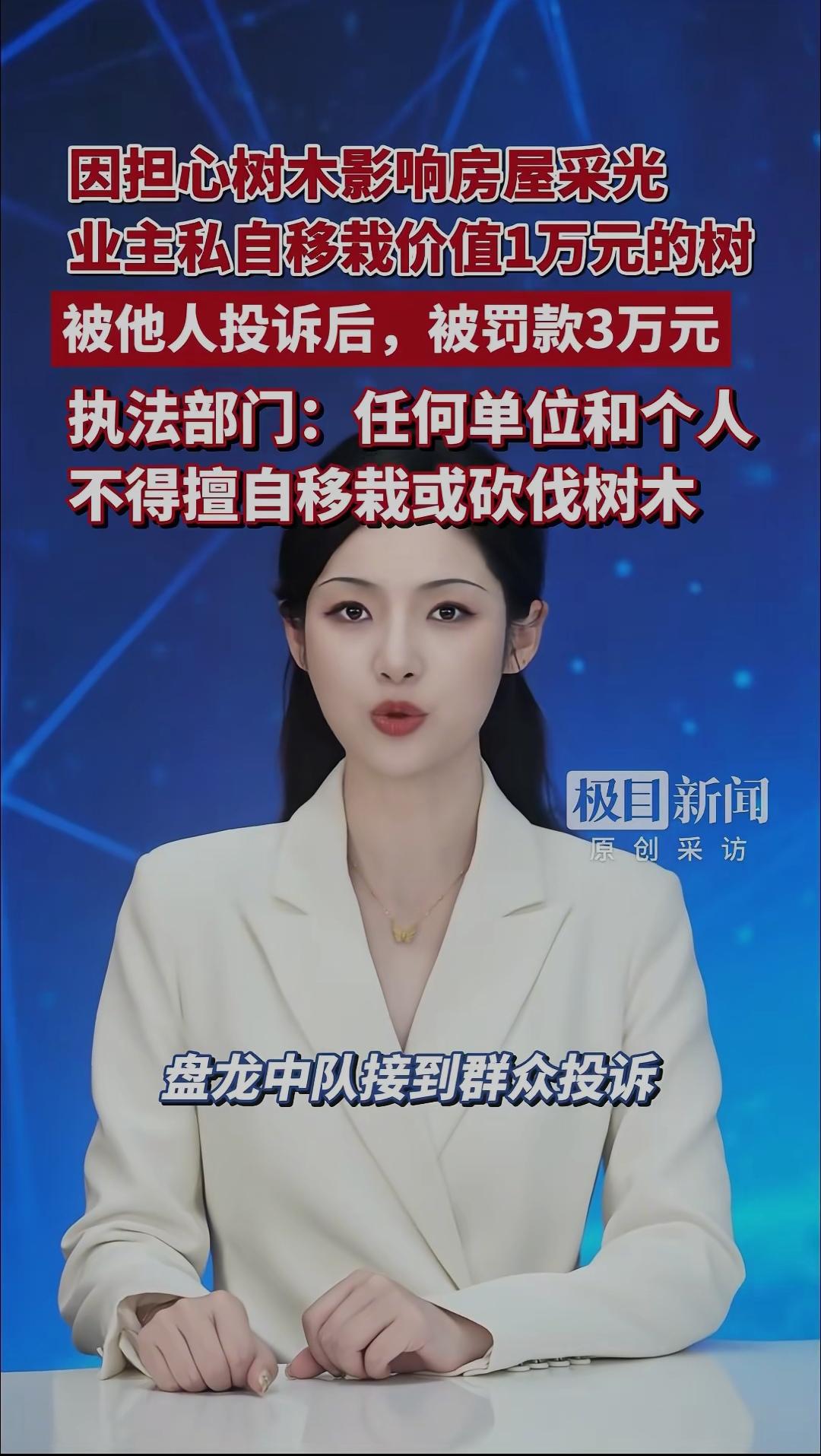 因担心树木影响房屋采光，业主私自移栽价值1万元的树，被他人投诉后，惨遭罚款3万元