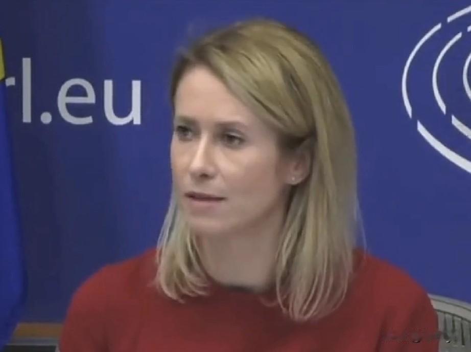 欧盟外长卡拉斯宣布成立乌克兰索赔委员会，向俄罗斯索赔。
欧盟这是要上桌上不去，不