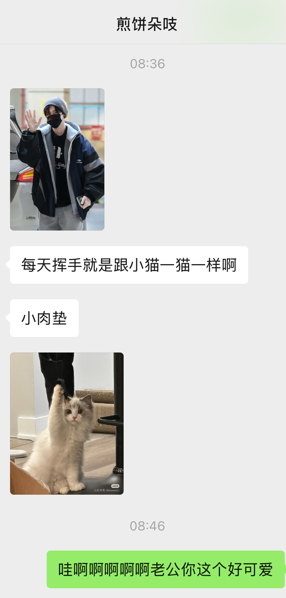 我的生活被各种猫塑大王包围 ​​​