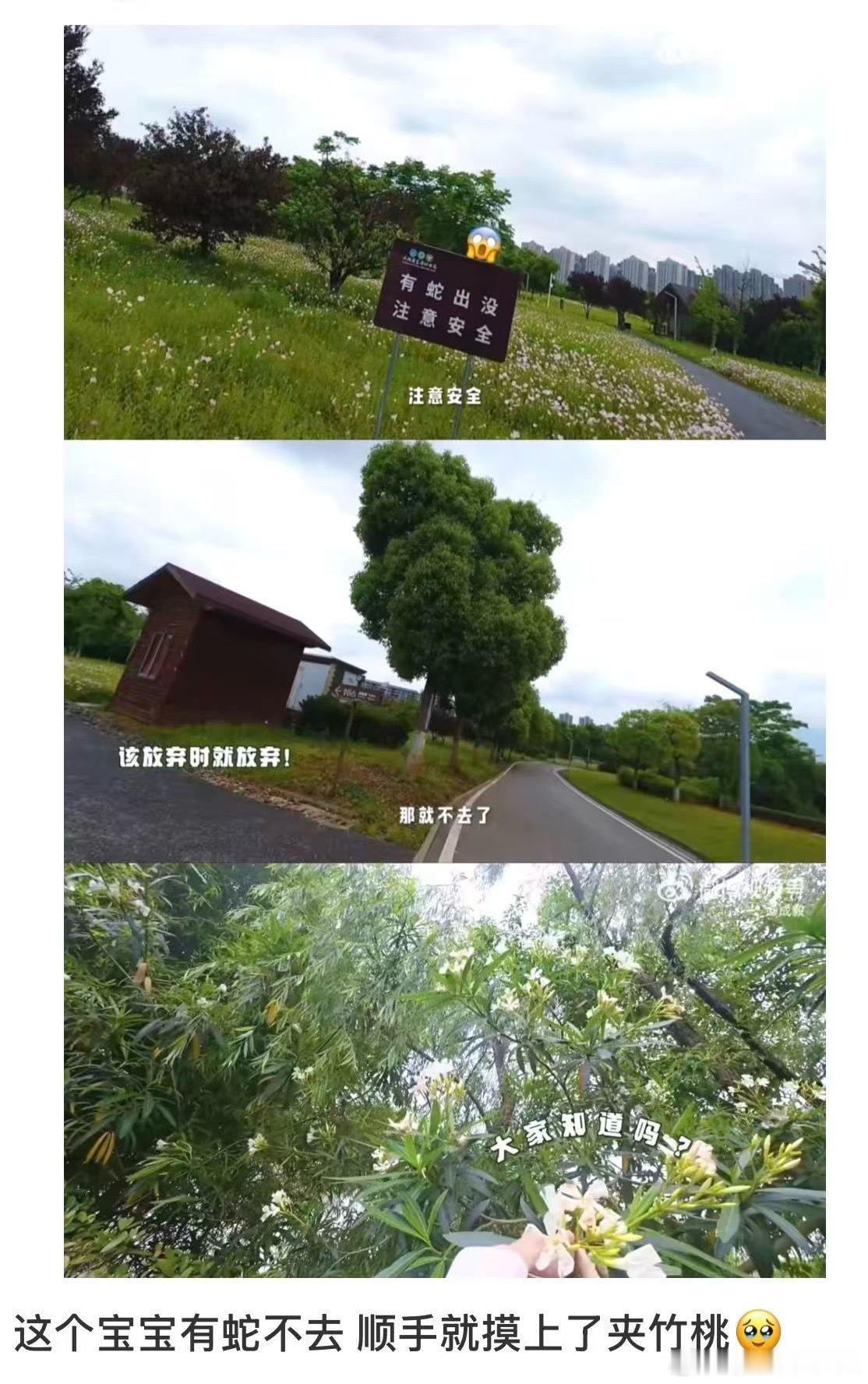 宝宝哥这波属于躲过了物理攻击（蛇），撞上了魔法攻击（夹竹桃全株有毒）。主打一个成