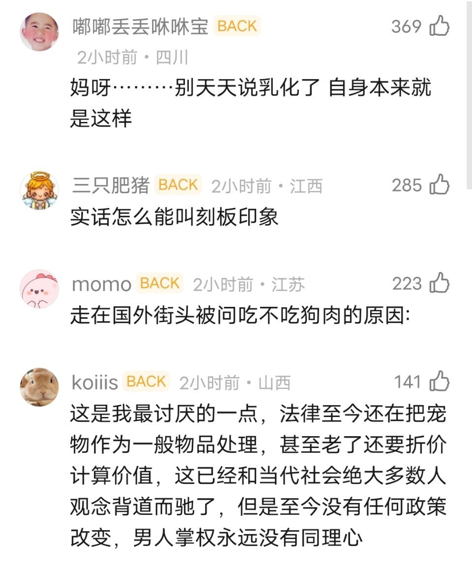 我才知道有只网红狗被偷走卖了 