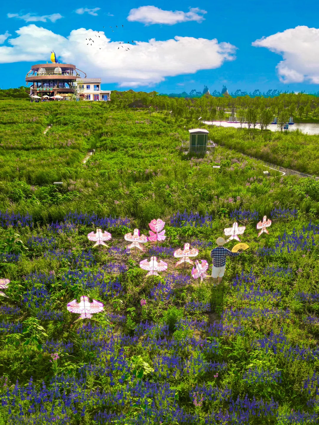 合肥人嘴巴真严啊❗️藏着这么美的地方不说😭