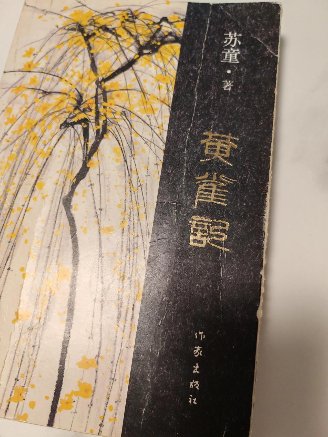 苏童《黄雀记》，20多万字，花了一个多星期才看完，果然江南的文人，笔触要细腻很多
