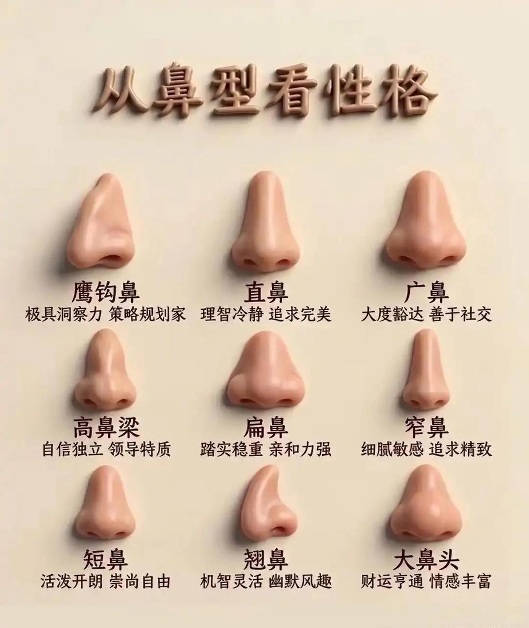 看鼻子就能判断性格？快来对号入座！

盘点 9 种鼻型对应的人物特质，每种鼻型都