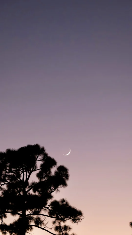 试试不加tag会推给哪些mbti