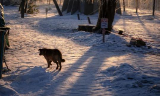 俄罗斯东部群称已深入乌军防线纵深

2月14日，俄军各集群新闻中心发布通报，东部