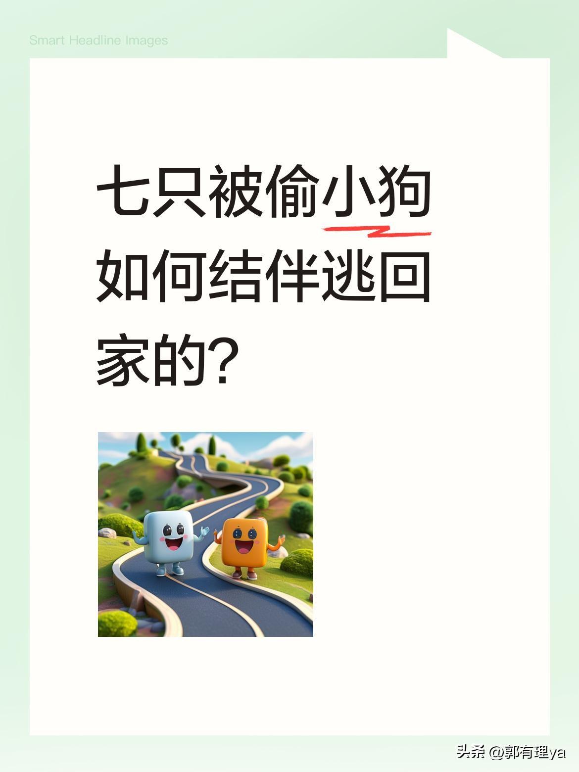 七只被偷小狗如何结伴逃回家的？
吉林长春，七只狗狗被偷狗贼掳走后，竟合力咬破笼网