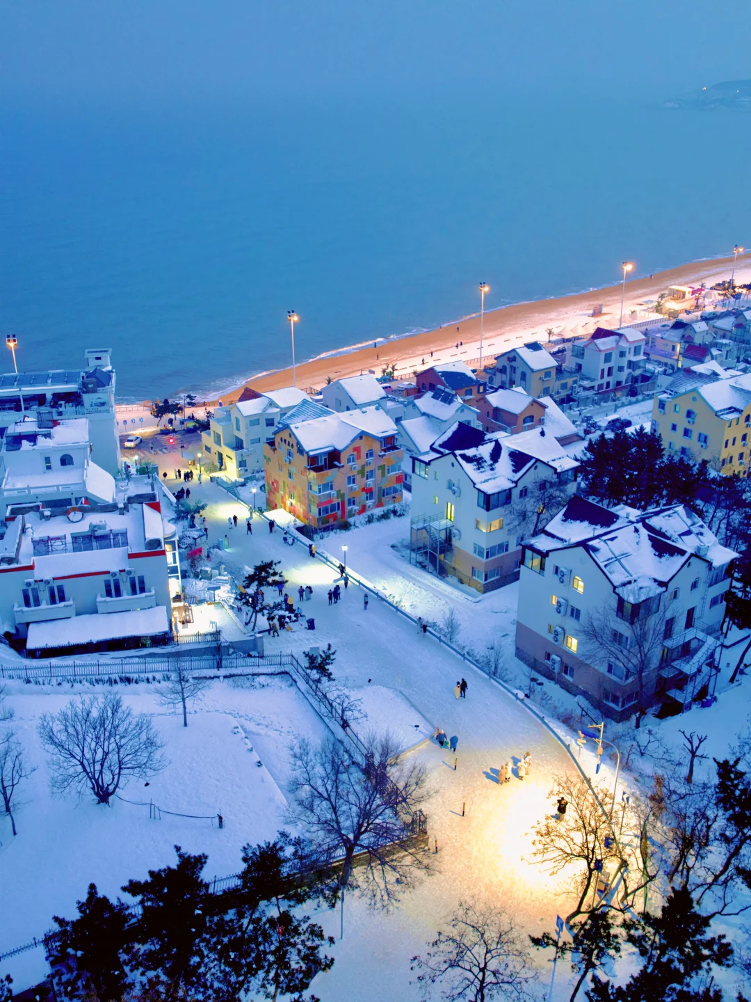 一下雪，这座海边小城就美成了童话🧊